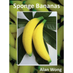 Bananes en mousse par Alan Wong