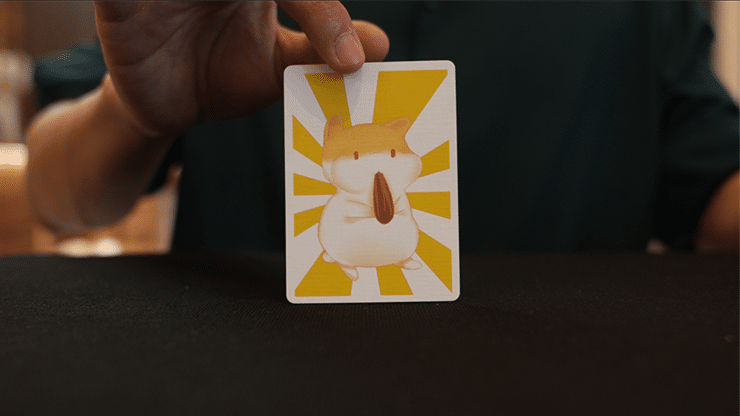 Hamster gourmand par Liang Kuai & Amor Magic 3 Hamster gourmand par Liang Kuai & Amor Magic – Image 3