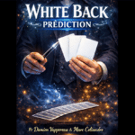 White Back Prediction by Damien Vappereau and Marc Céliandre