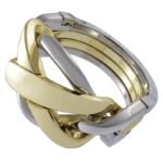 Puzzle cast ring - Difficulté difficile