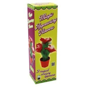 Fleurs magiques à apparition