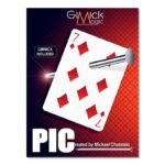 PIC par Mickael Chatelain