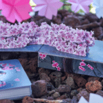 Sakura Renaissance - Jeux de cartes