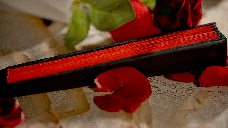 The Butterfly par K.Pen & TCC Magic 2 The Butterfly par K.Pen & TCC Magic – Image 2