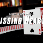 Missing Hearts par Nusa & MS Magic