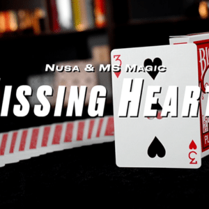 Missing Hearts par Nusa & MS Magic