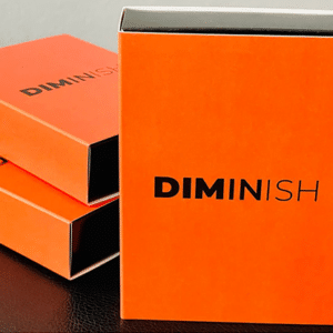 Diminish von Damian Surr