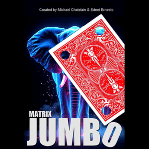 Matrix Revolution Jumbo von Mickael Chatelain