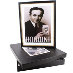 Cadre de prédiction Houdini