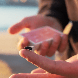 Boutique de magie en ligne - Magic Effect 14 The Fly Lite par Marcos Waldemar et Invisible Compass