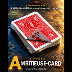 IMPOSSIBLE AMBITIEUSE CARD par Mickael Chatelain