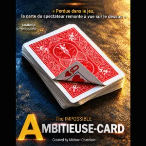 IMPOSSIBLE AMBITIEUSE CARD par Mickael Chatelain